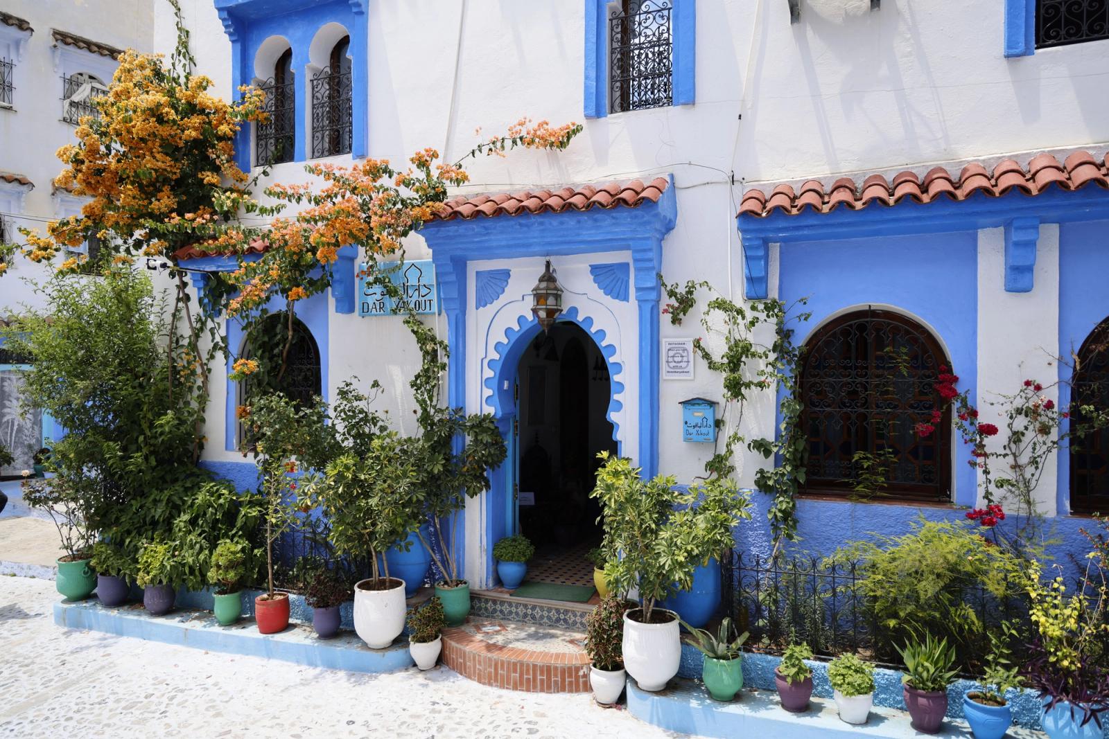 A stunning blue and white hotel facade in Chefchaouen, Morocco, decorated with vibrant plants
