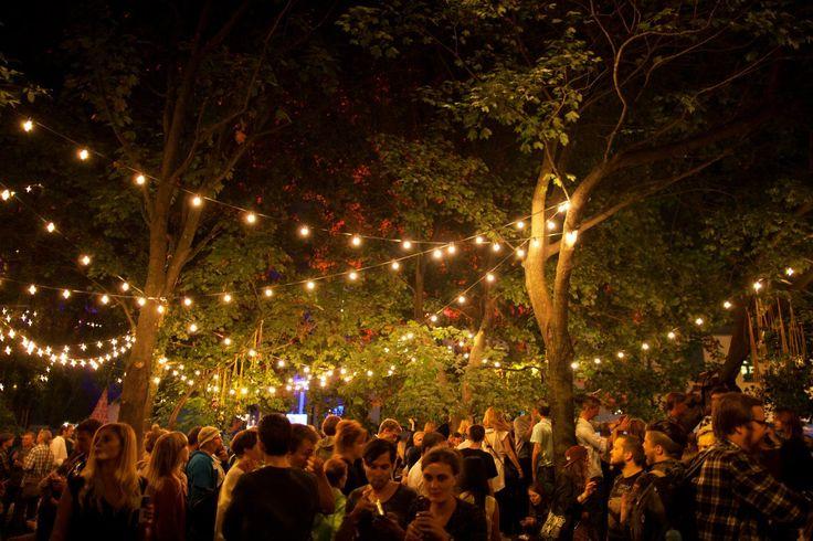 Bonfire jungle-theme gala