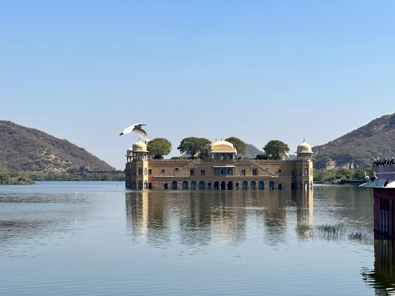 Picturesque Jal Mahal palace on the serene lake in Jaipur, India