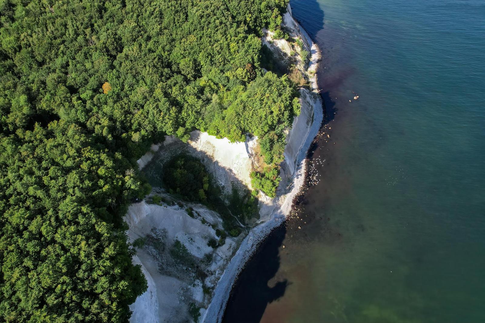 Aerial view of chalk cliffs meeting the sea through dense forest