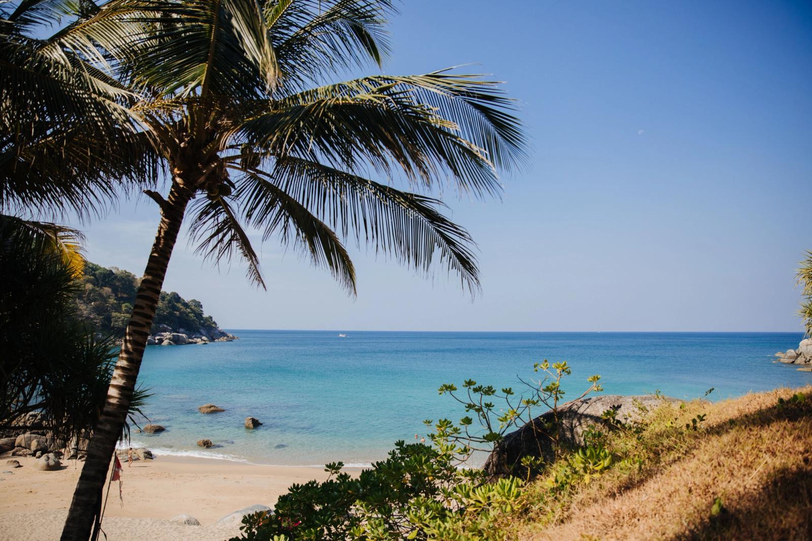 A palm tree framing a turquoise cove with a sandy beach below