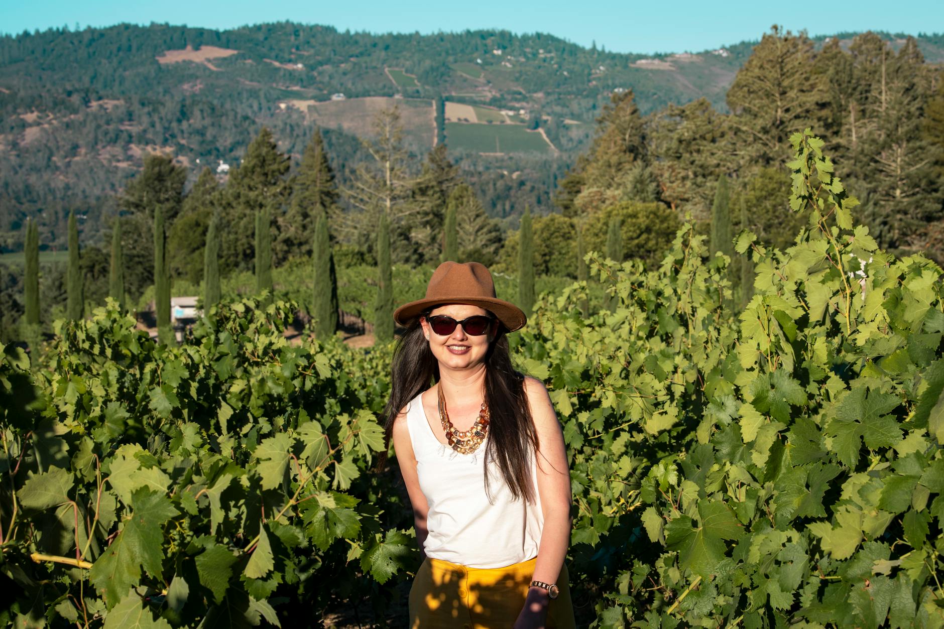 Napa Valley Day Tour on day 4, USA