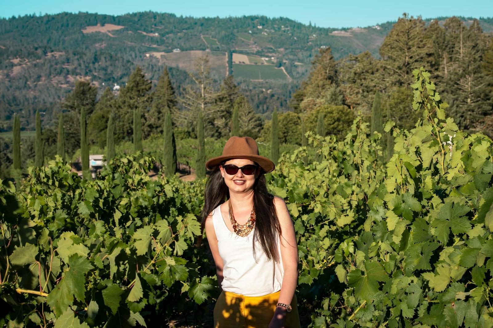 Napa Valley Day Tour on day 4, USA