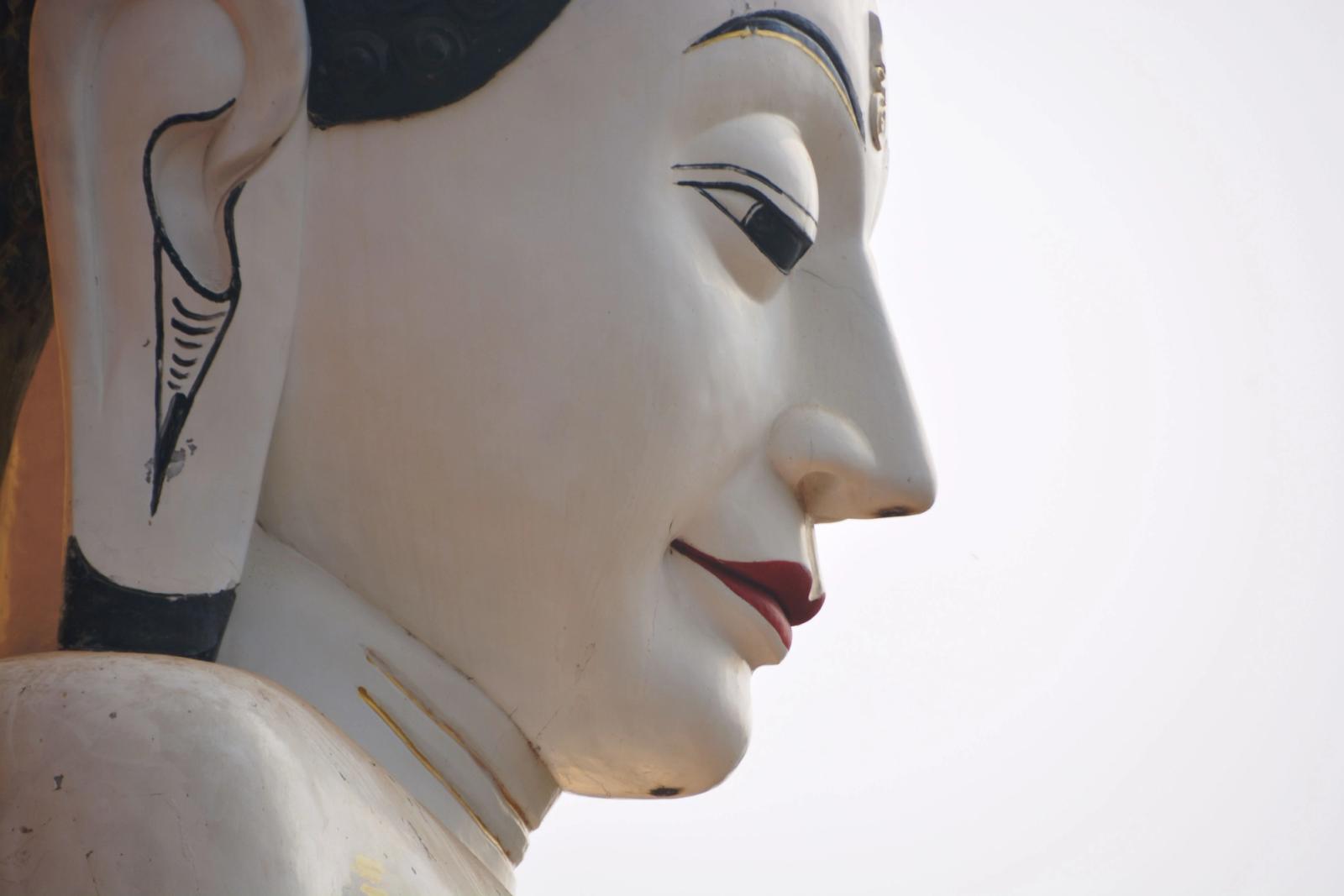 The Buddha Trail (9 Nights)