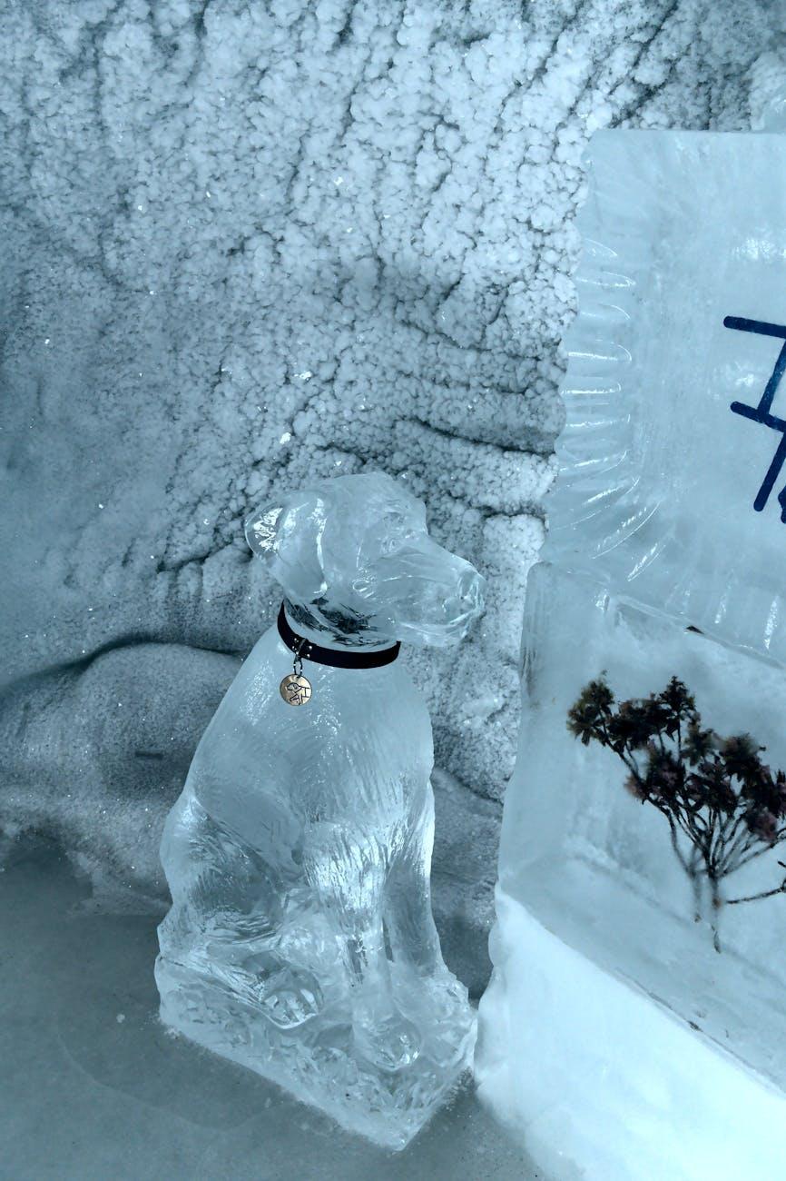 Carved ice sculpture of a seated dog beside a frozen display case