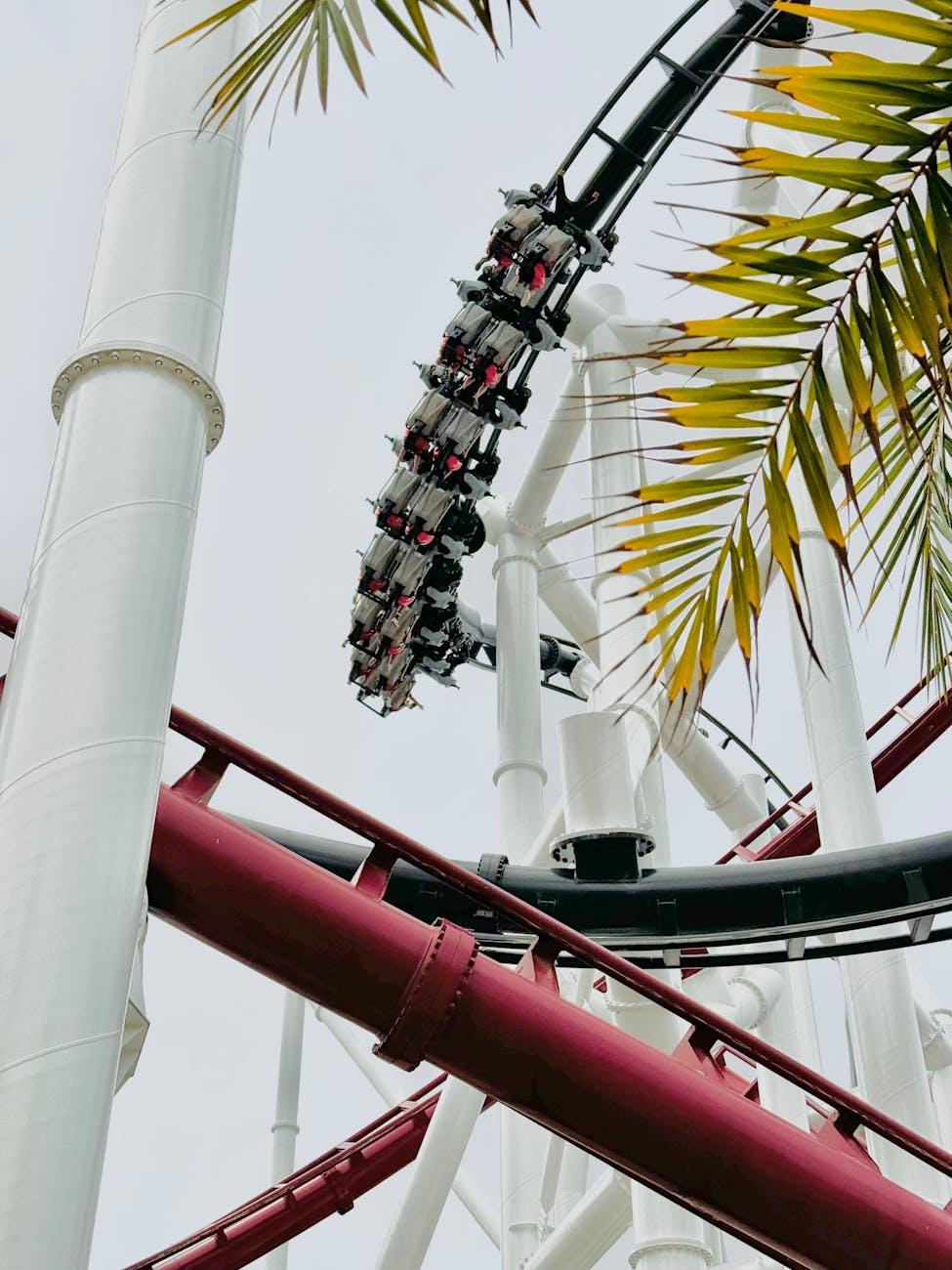 Looping rollercoaster track framed by a palm frond