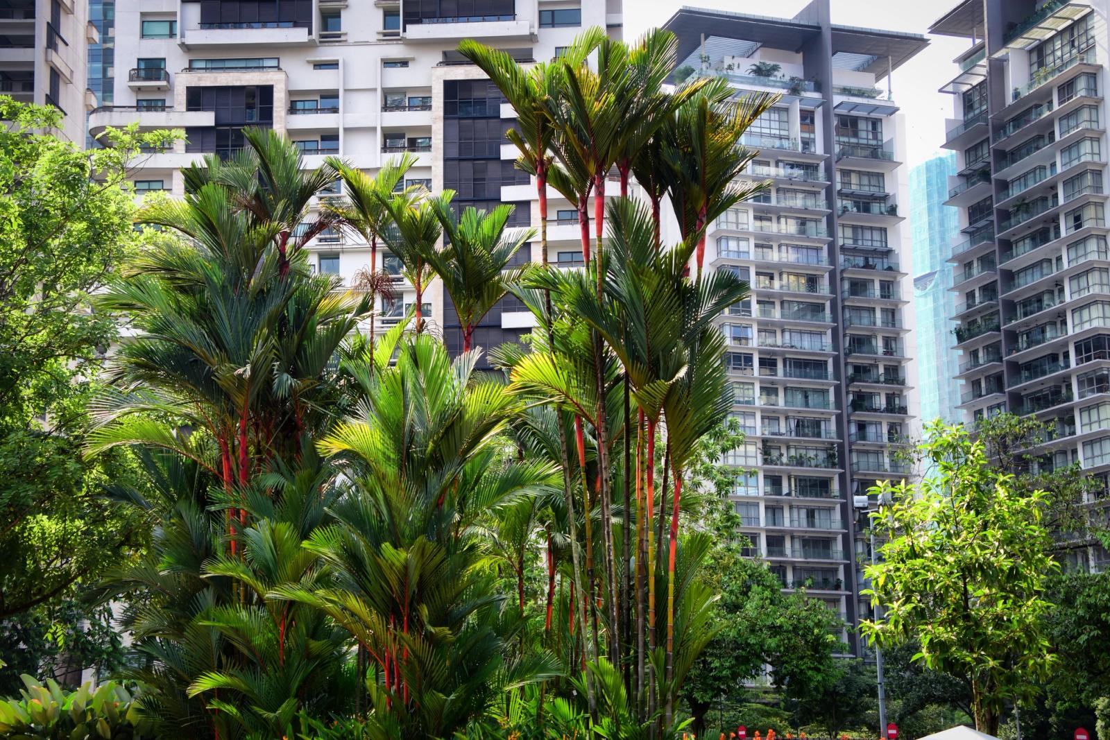 A vibrant scene of lush greenery set against modern skyscrapers in Kuala Lumpur, Malaysia