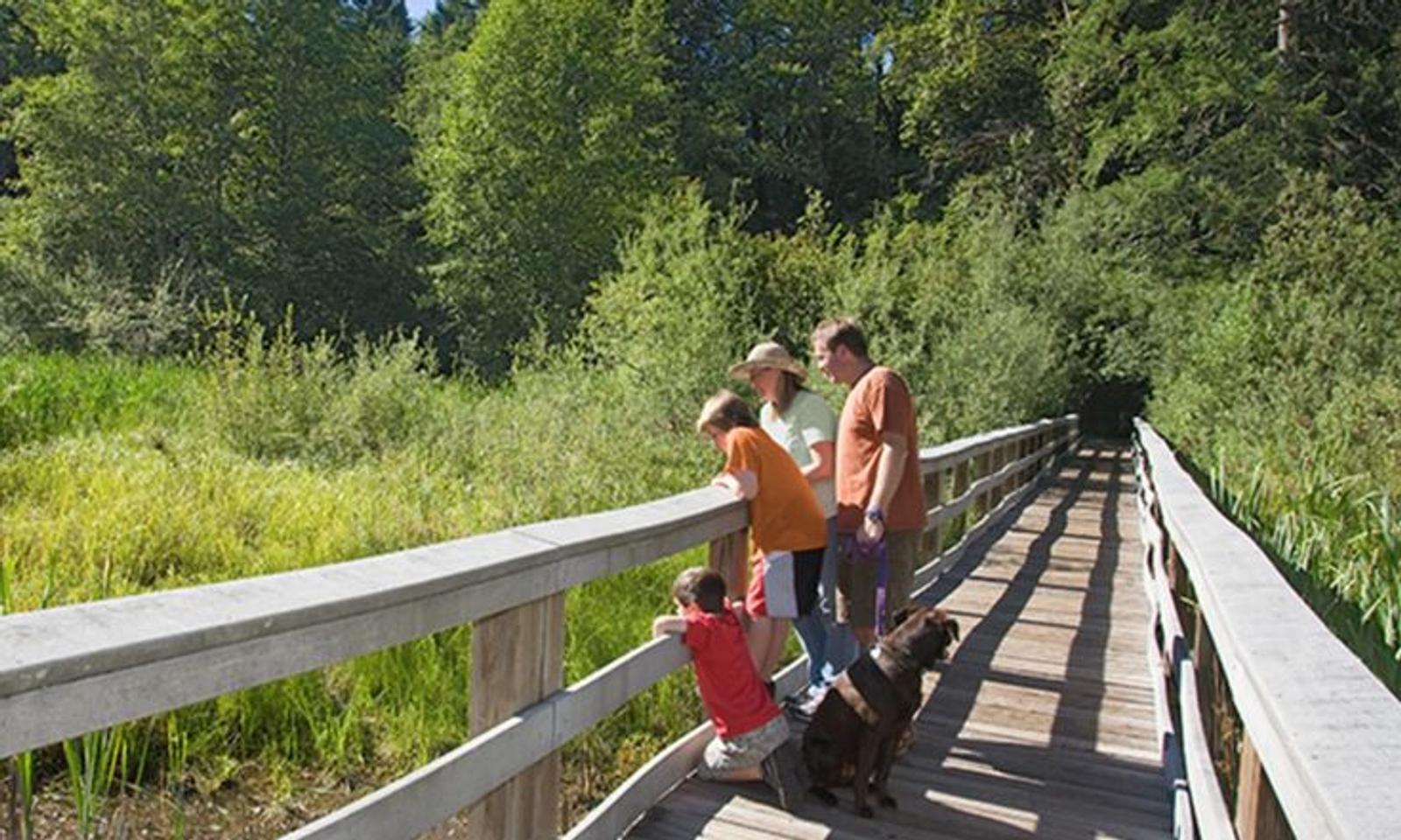 Nature walk & birding trail