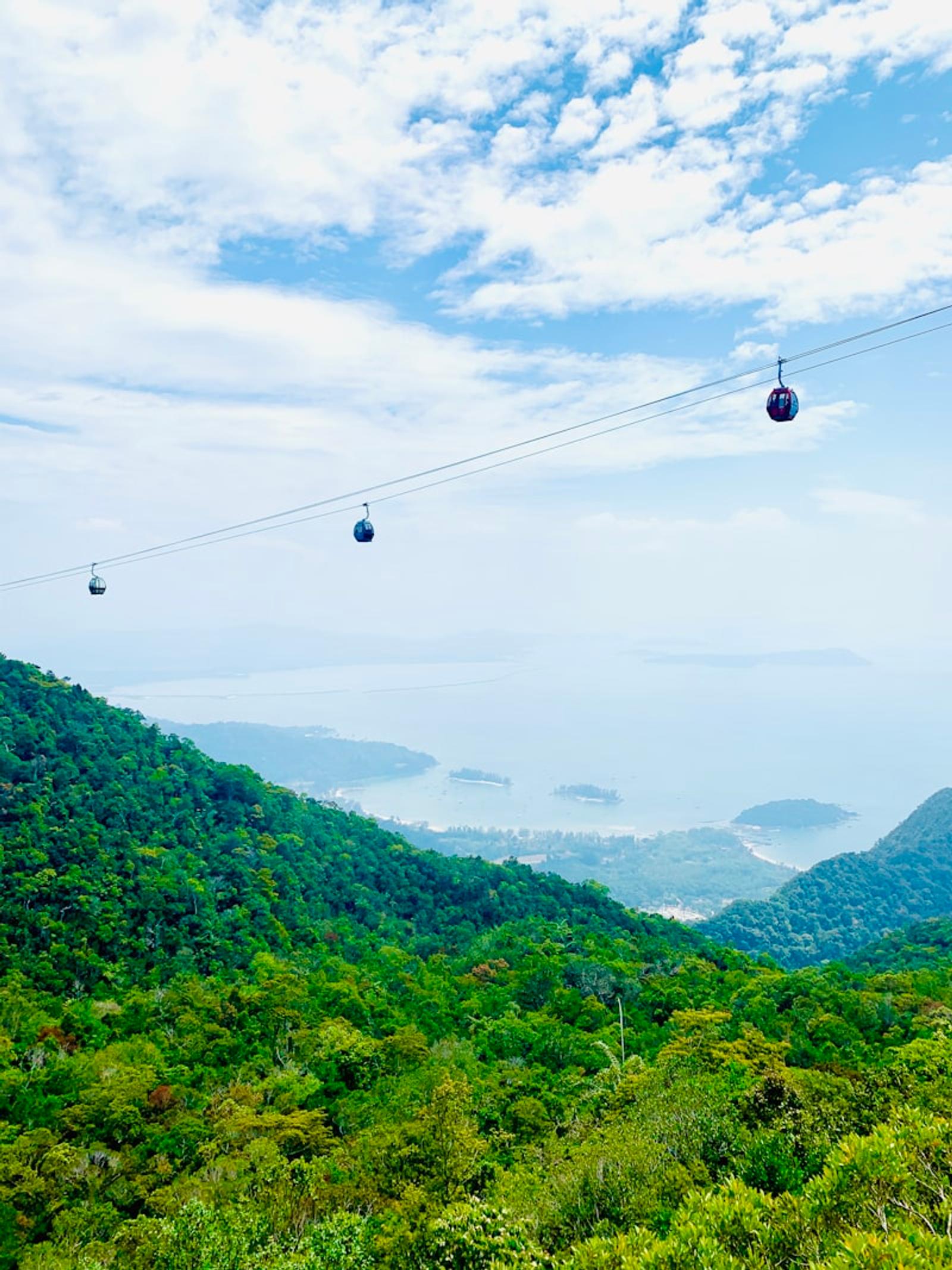 Langkawi rainforest