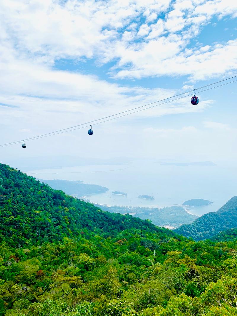 Langkawi rainforest
