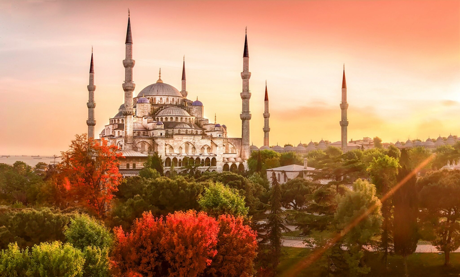 Mesmerizing Turkey 8N