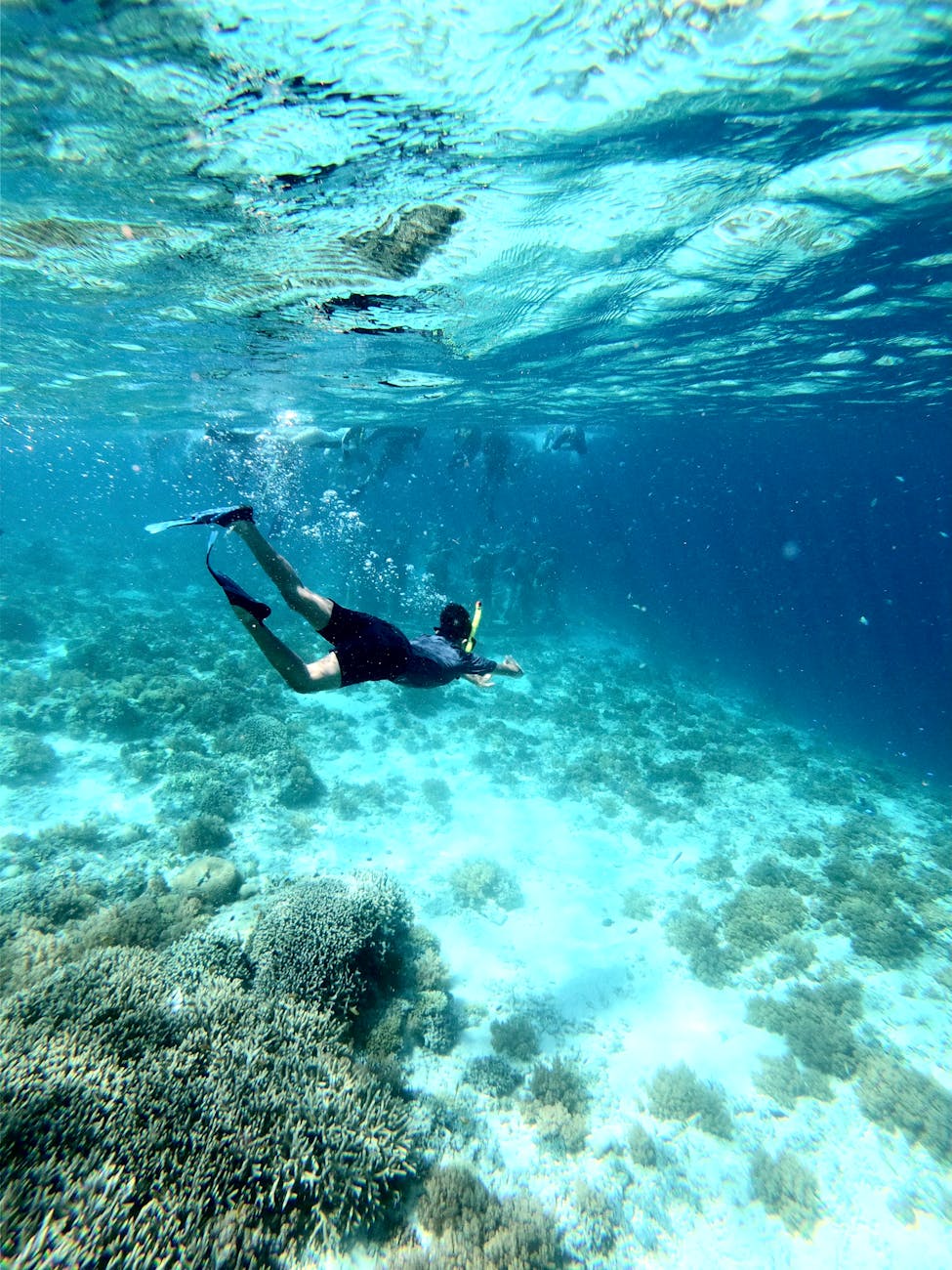 West One Snorkelling — Indonesia