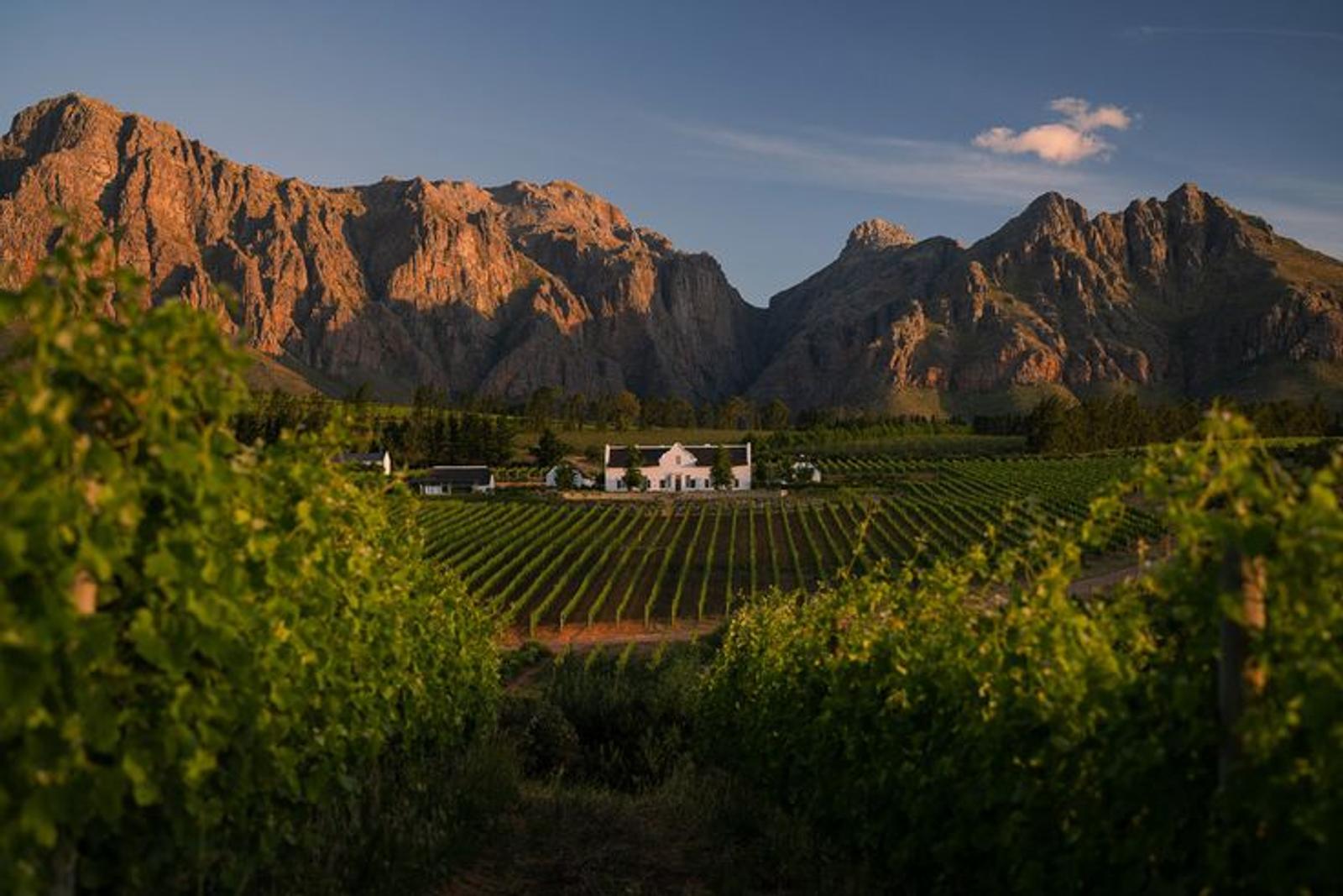 Winelands estate day
