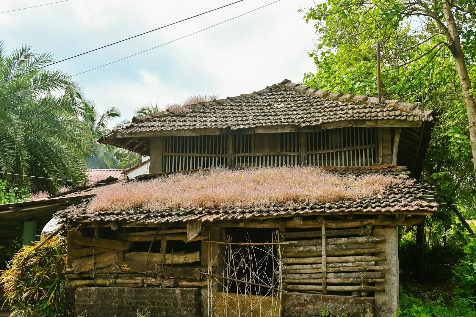 Mawlynnong Village, India