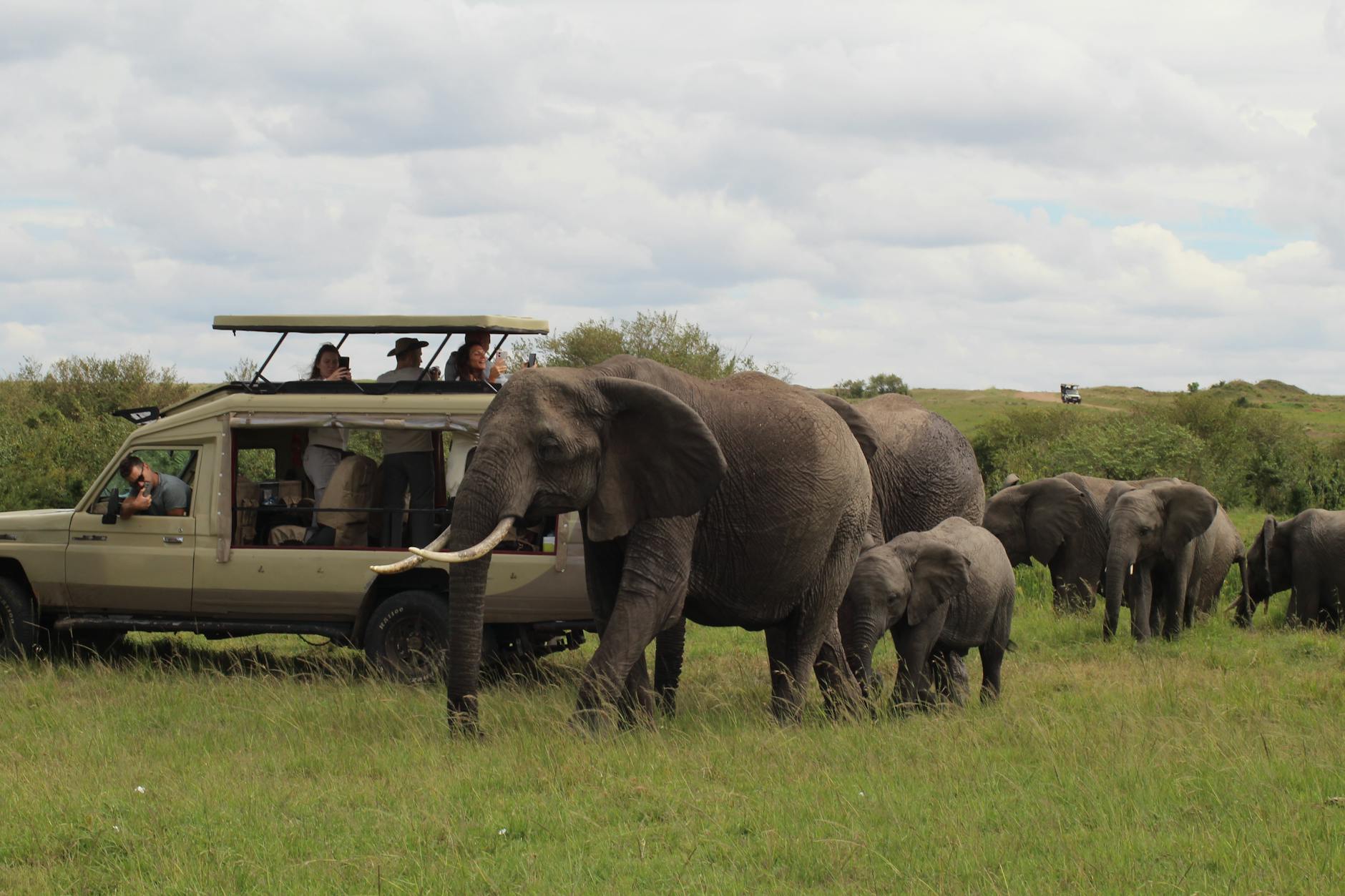 Masai Mara game drives — Kenya