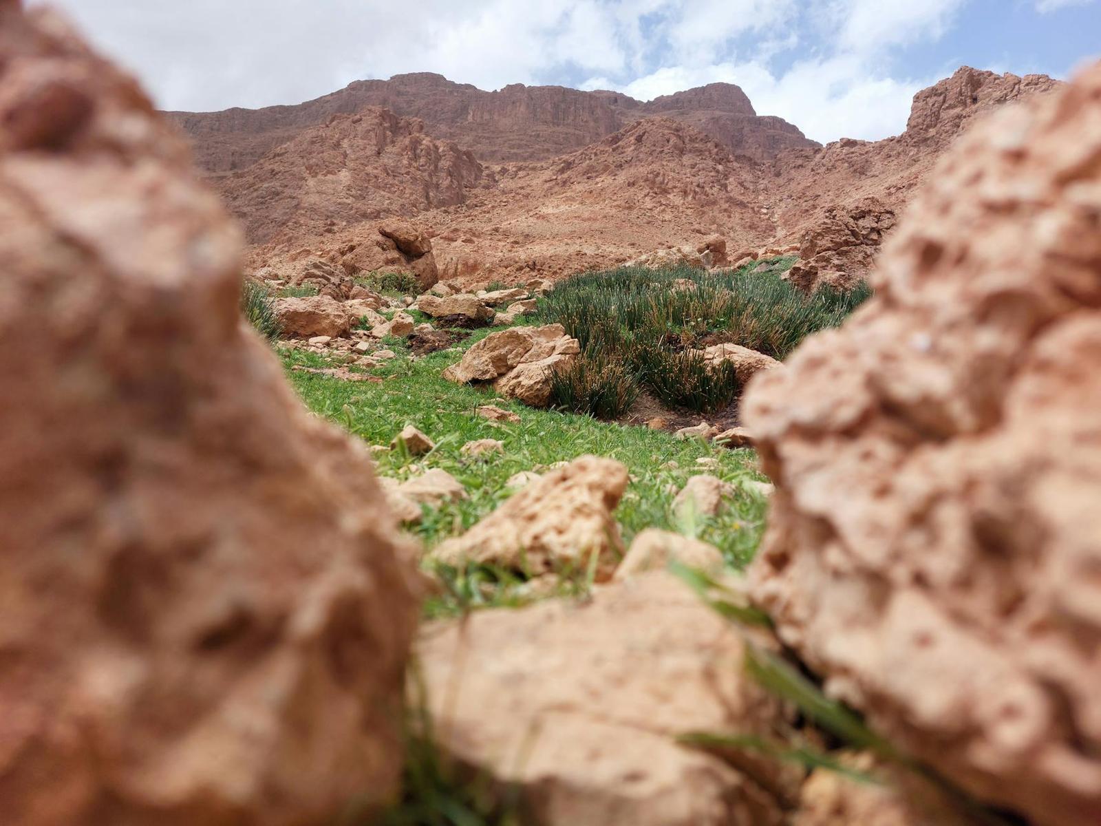 Todra — Tinghir, Morocco