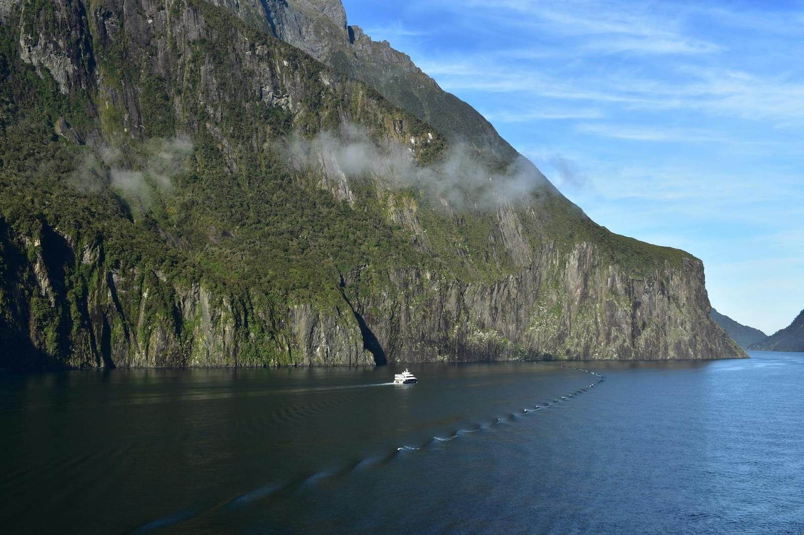 Milford Sound Cruise With Picnic Lunch on day 9, Australia + New Zealand