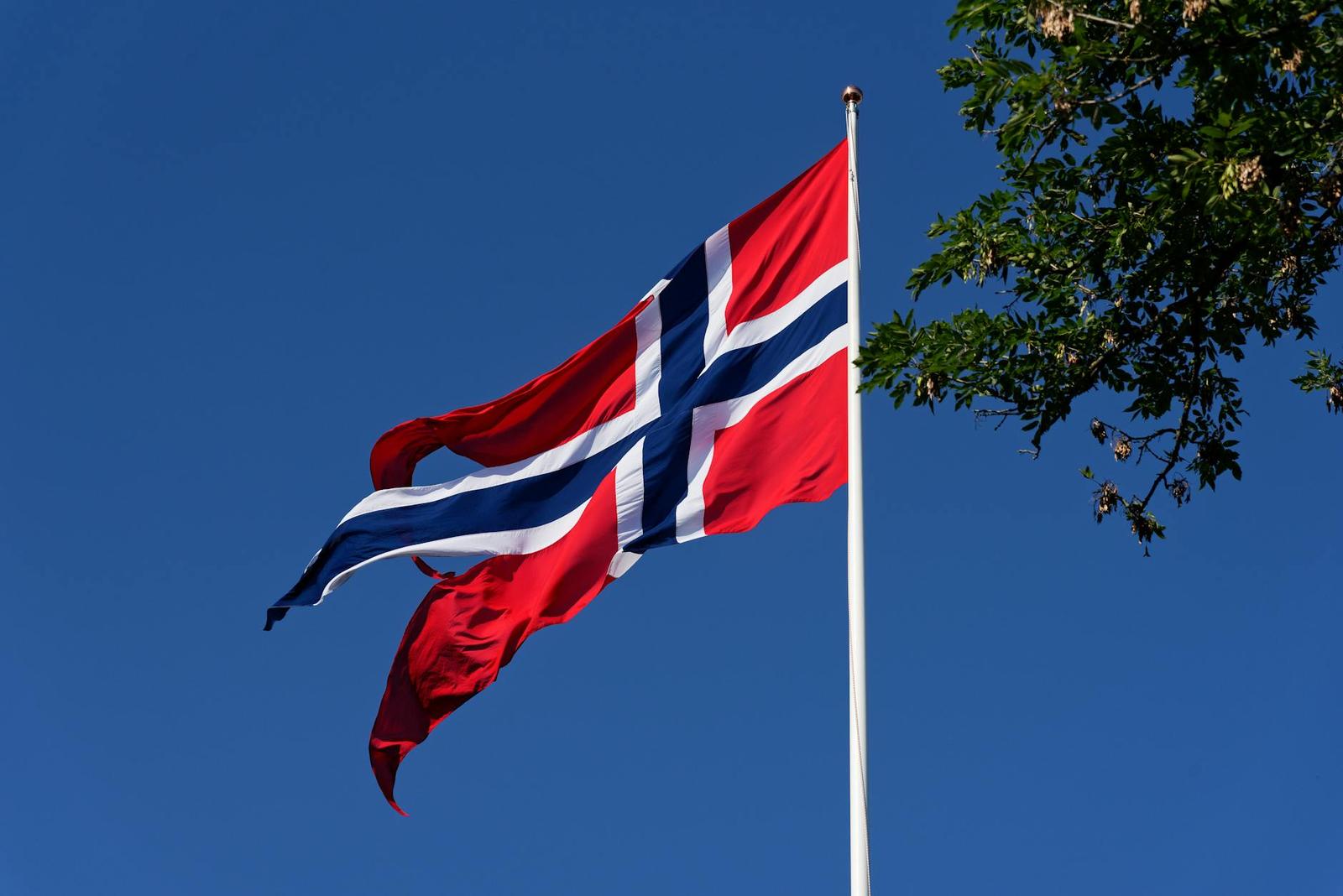 Norwegian flag flying against a clear blue sky beside green leaves