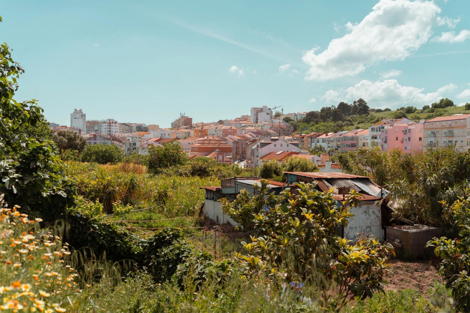 A pastel hillside town seen past a garden shed and flowering shrubs