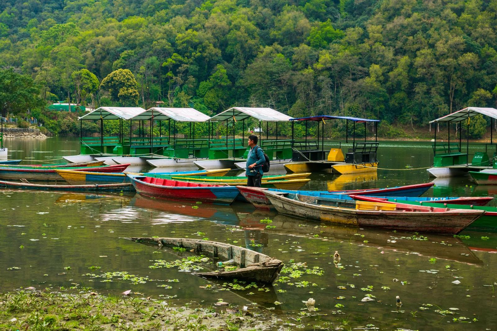 Vibrant wooden boats on a serene lake in Pokhara, Nepal, with a lush forest backdrop