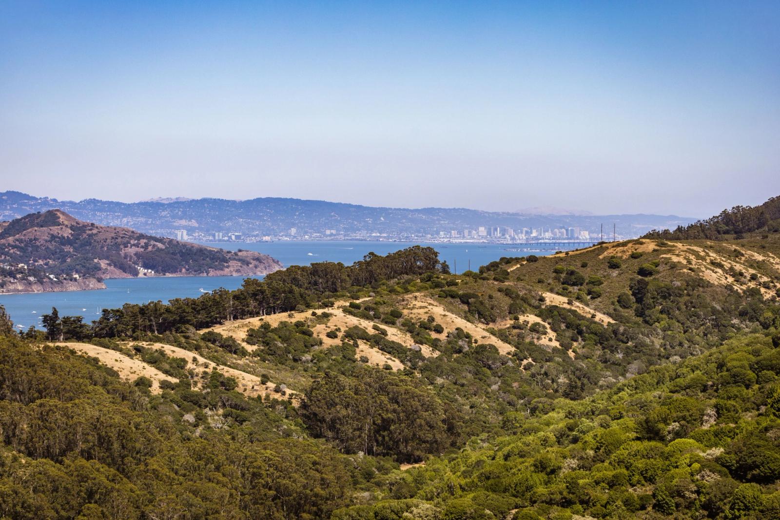 Stunning view of San Francisco skyline across the bay from Marin Hills, nestled in lush greenery