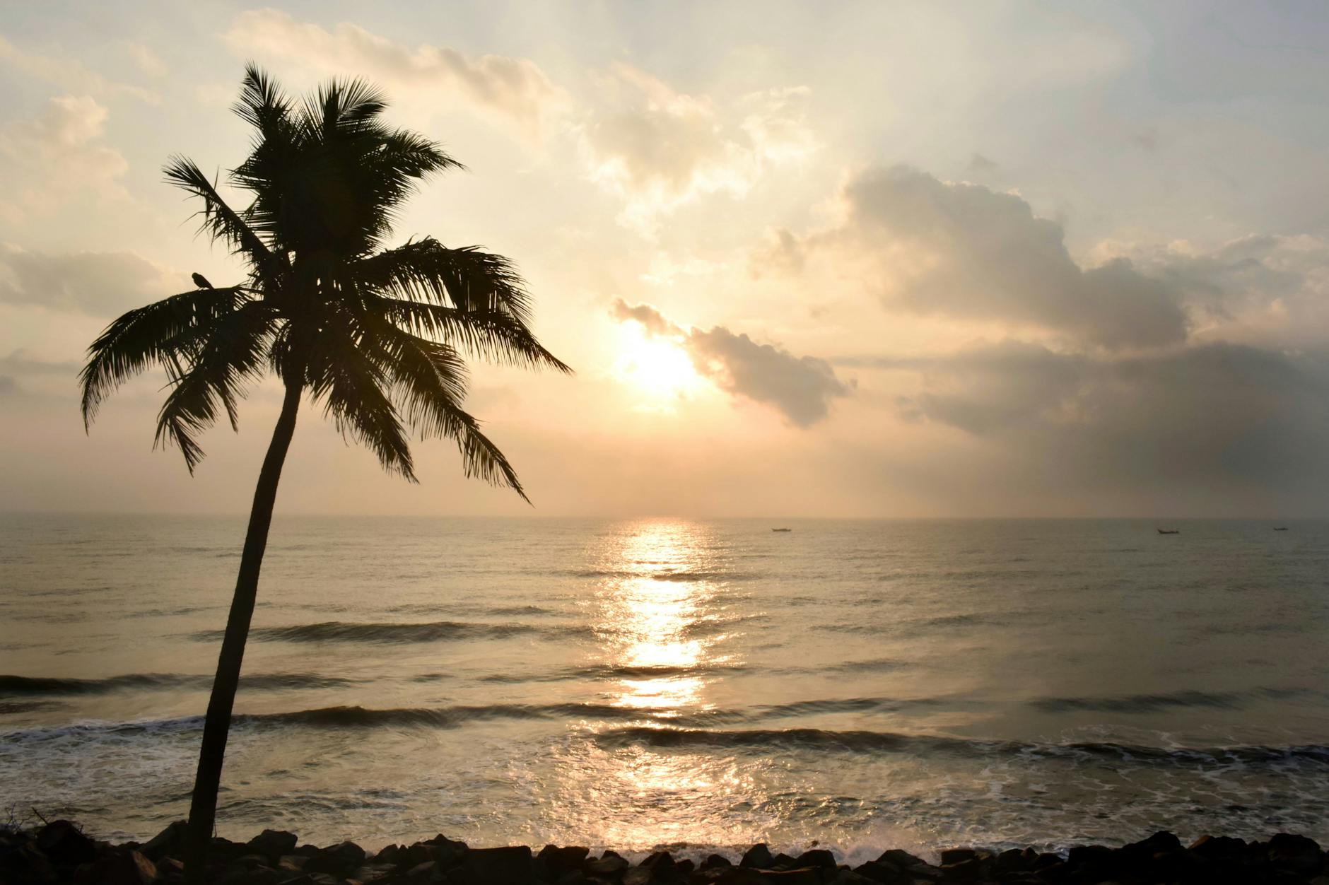 India at golden hour