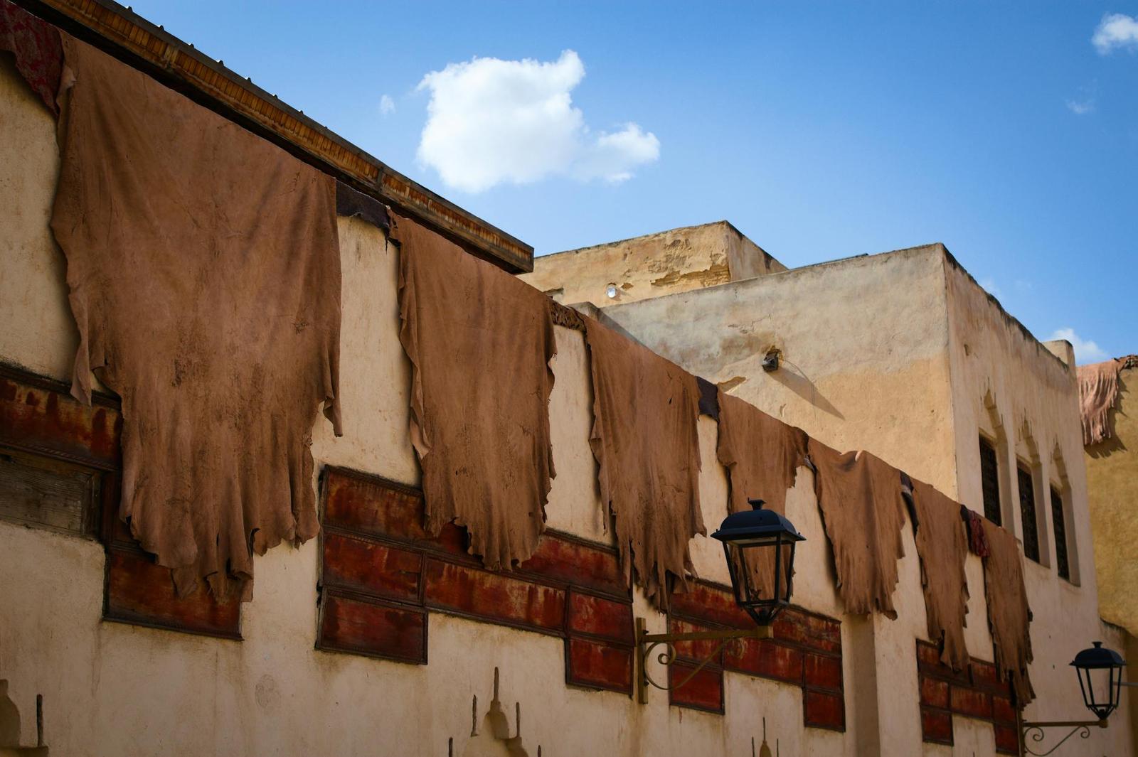 Animal hides hung to dry along a wall beneath a bright blue sky