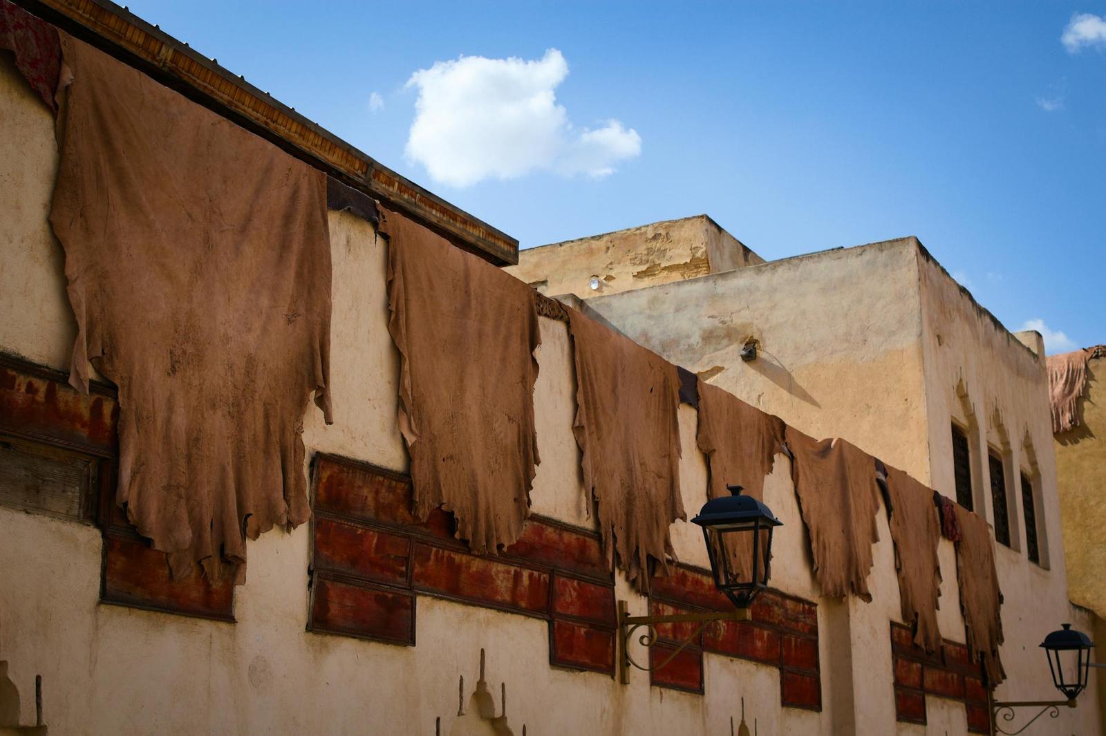 Animal hides hung to dry along a wall beneath a bright blue sky