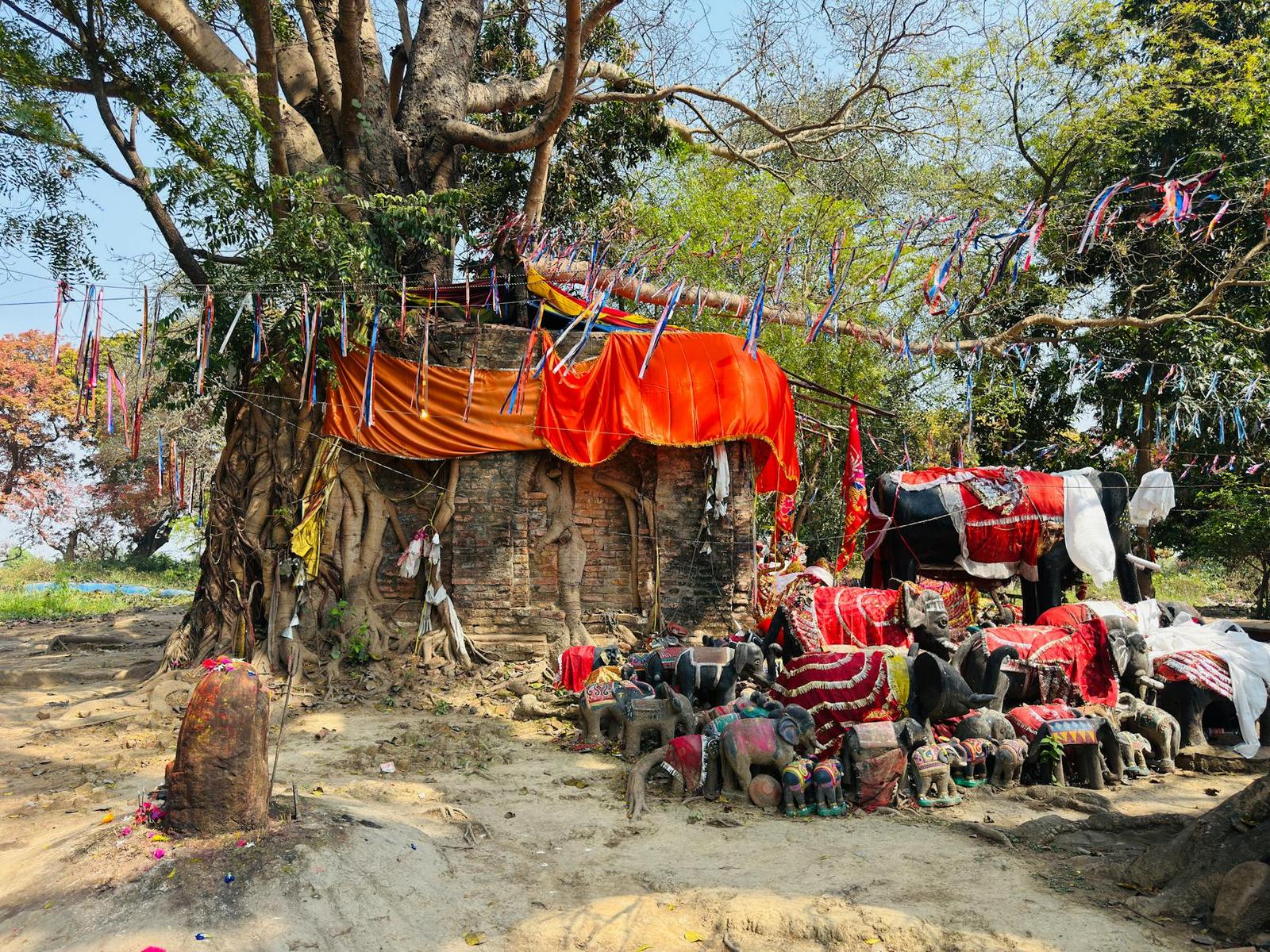 Vibrant shrine under a sacred tree in Butwal, Nepal, adorned with colorful fabrics and offerings