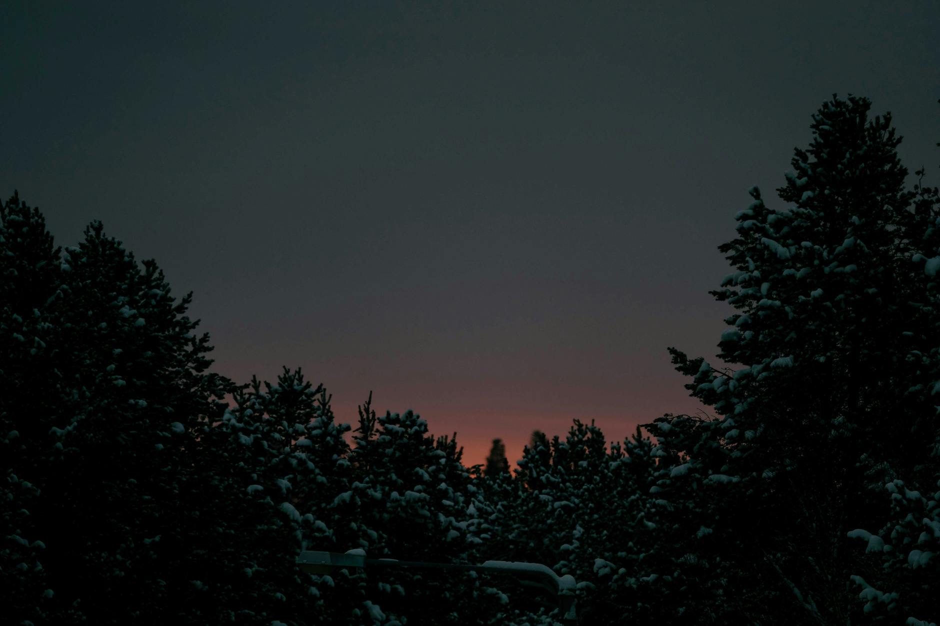 Finland at golden hour