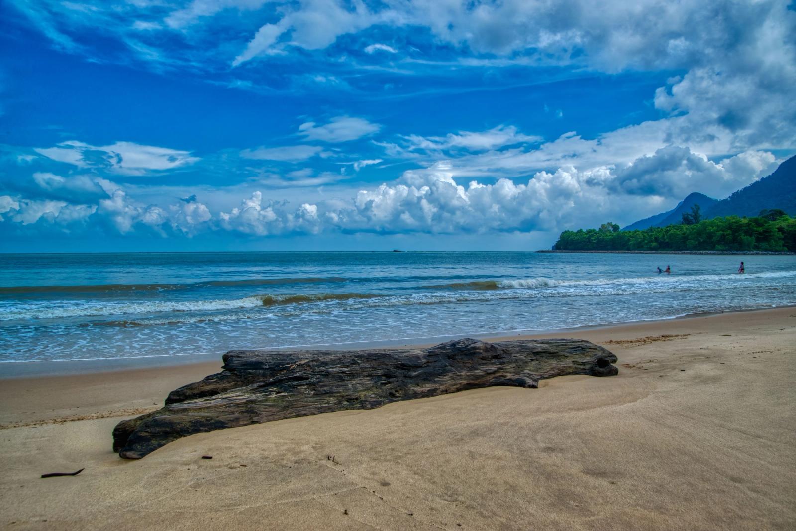 Tranquil beach scene in Kuching, Malaysia, featuring driftwood, clear skies, and gentle waves