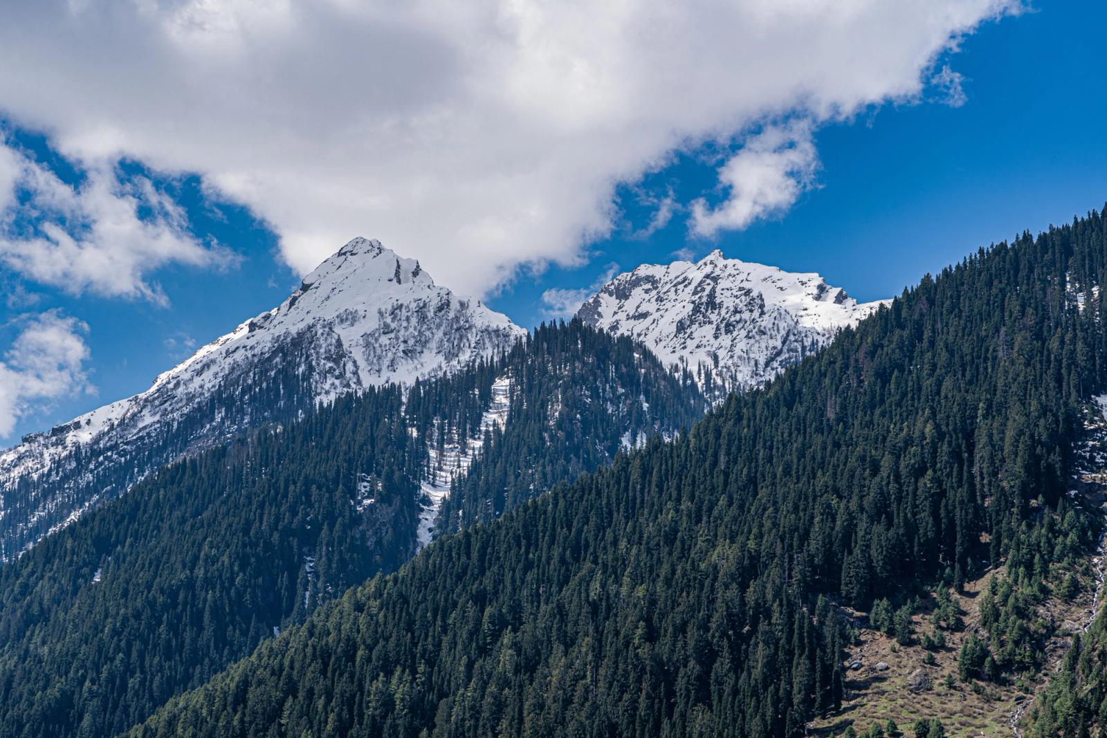 Stunning view of snow-covered peaks and dense conifer forests in Srinagar showcasing natural beauty