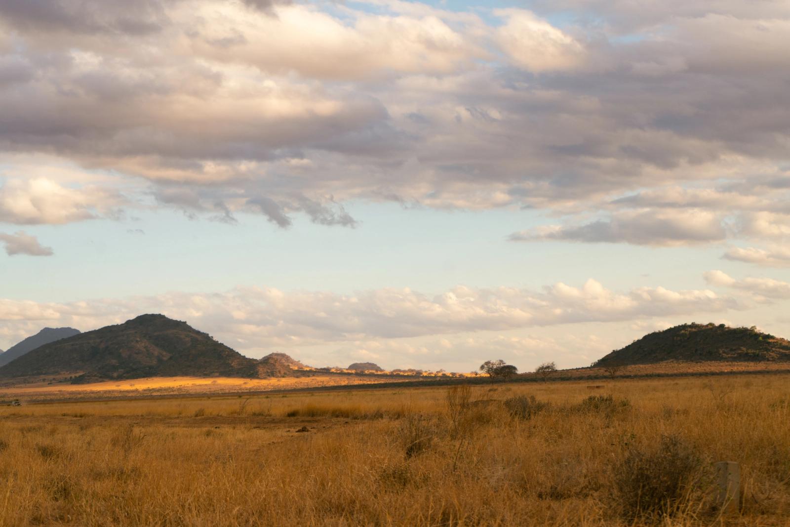 Explore the serene beauty of the African savanna under a cloudy sky, showcasing vast grasslands and distant hills
