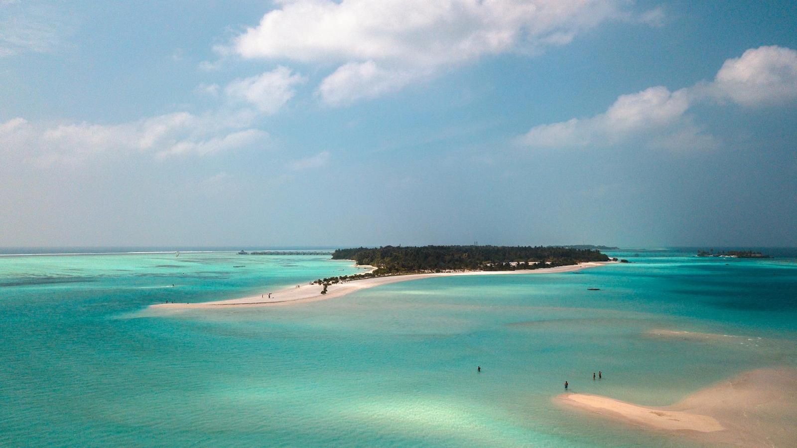 Aerial view of a small forested island surrounded by pale shallows