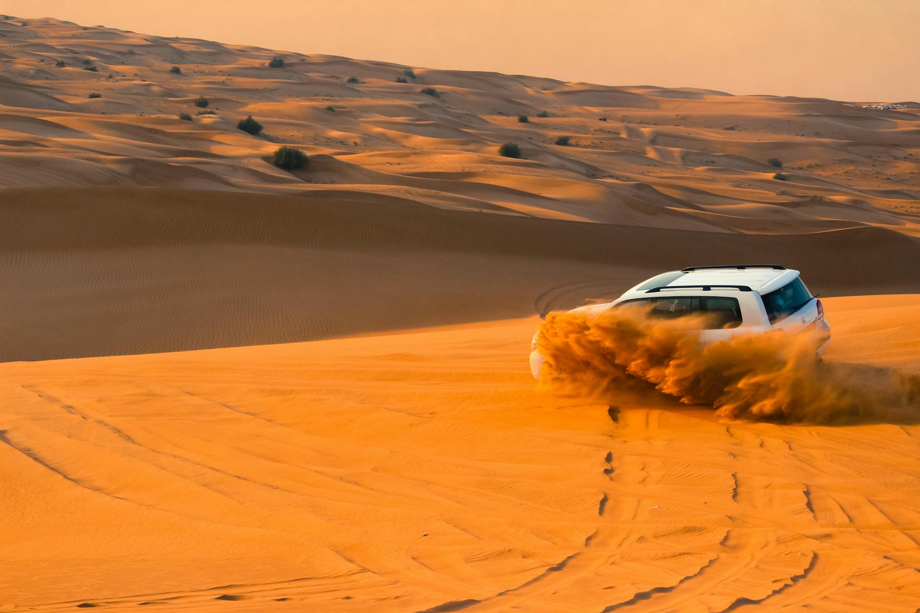 Desert Safari & Bbq, UAE
