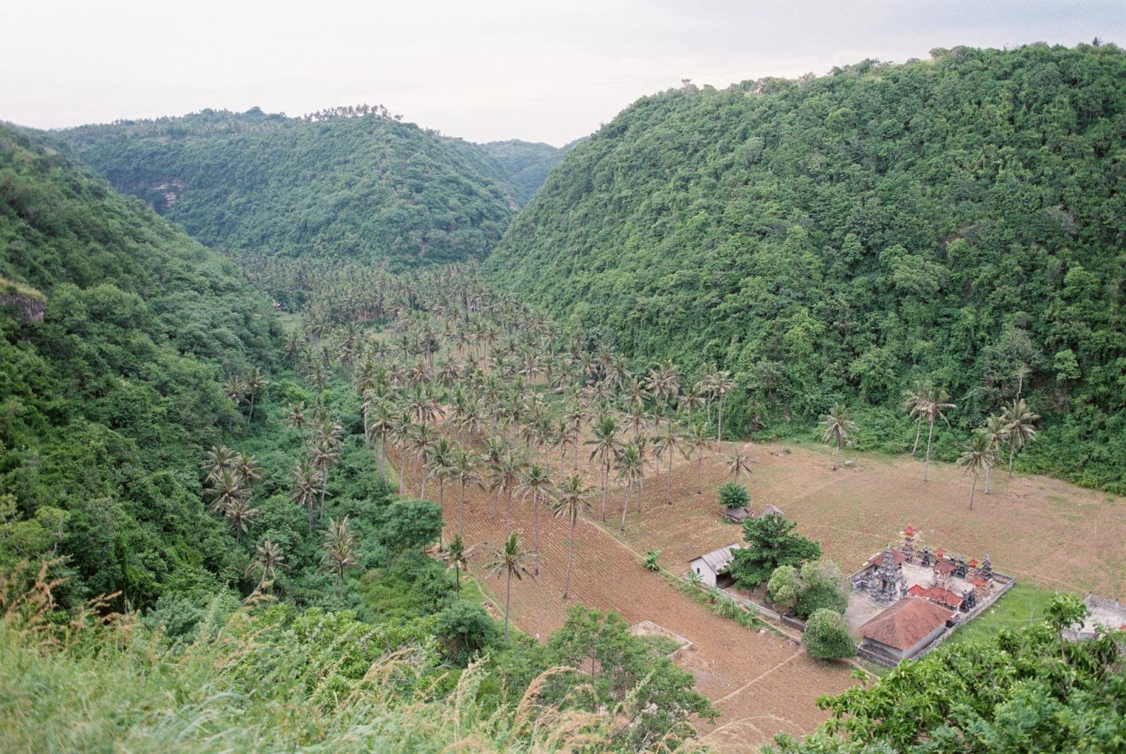 Aerial view of a lush valley in Bali featuring dense greenery and a traditional temple