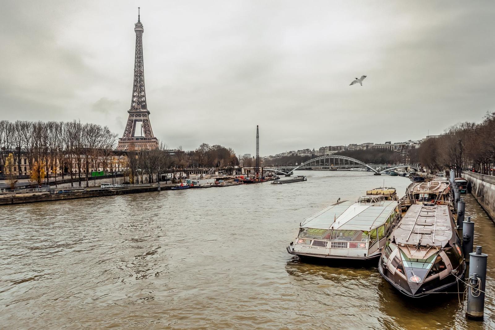 Seine River Cruise + Eiffel Tower Second Floor on day 2, France + Netherlands