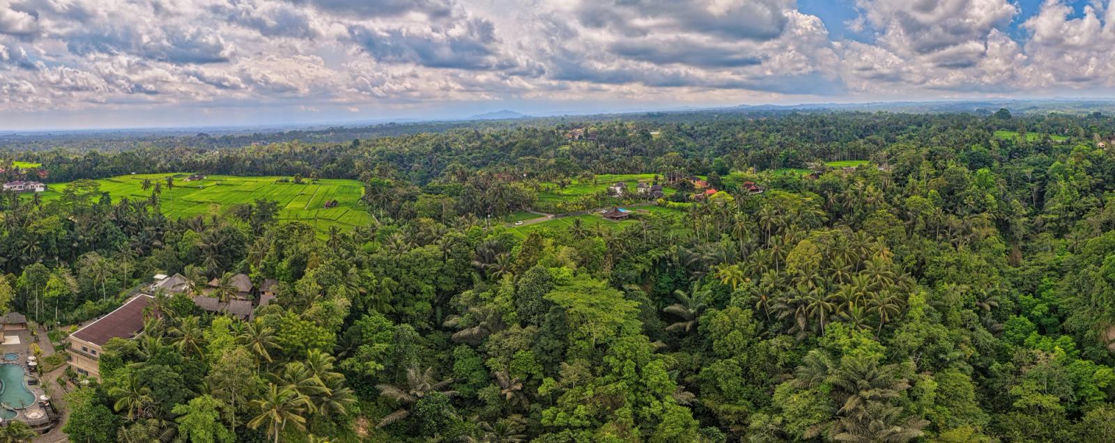Breathtaking aerial view of Bali's green rice fields and dense forests under a cloudy sky