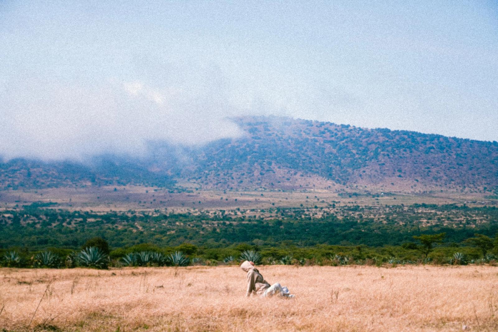 Vast African savanna with figure under cloudy sky, serene and peaceful