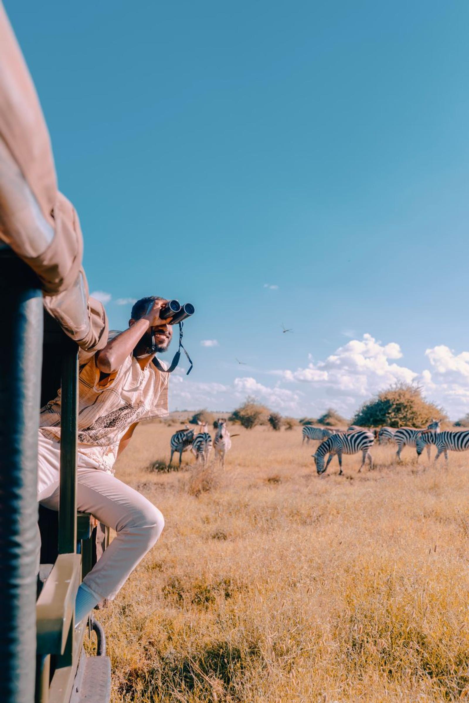 Safari passenger leaning out with binoculars to watch zebras grazing on the plain