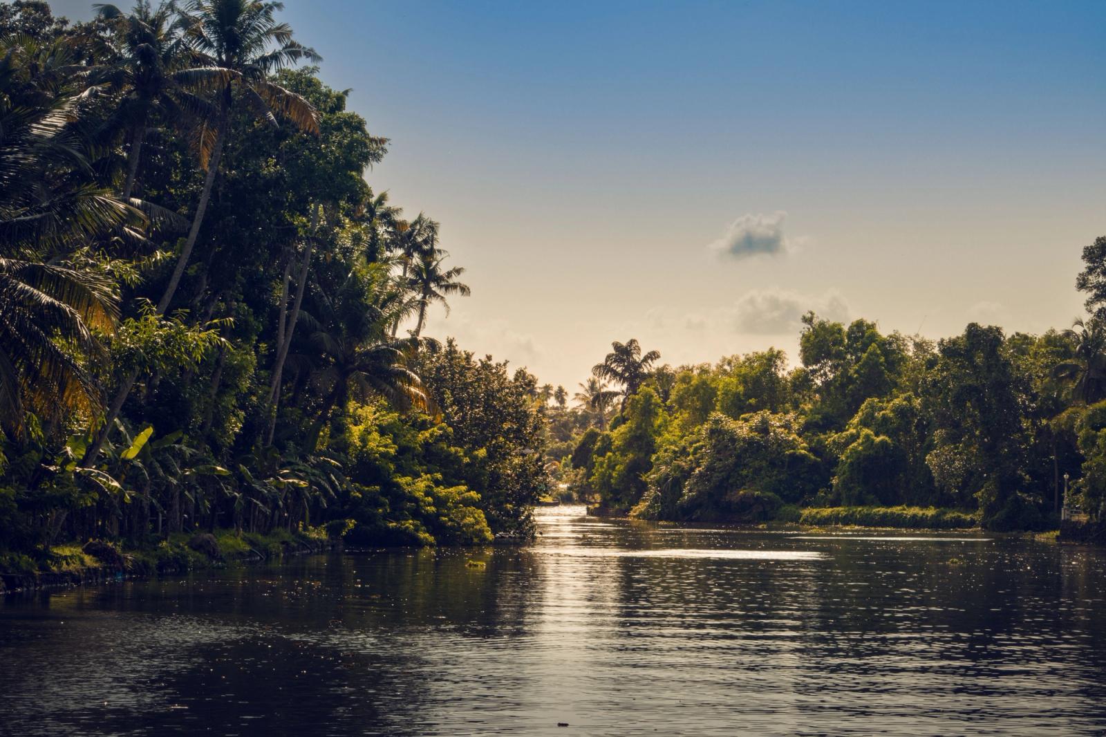 A calm palm-fringed river channel glowing in late afternoon light