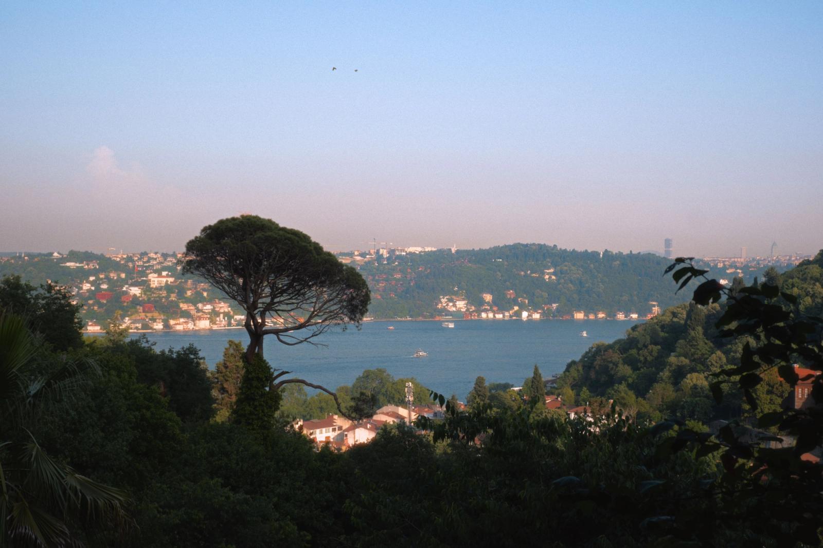 Serene view of Bosphorus Strait with lush greenery and cityscape in Istanbul at sunset