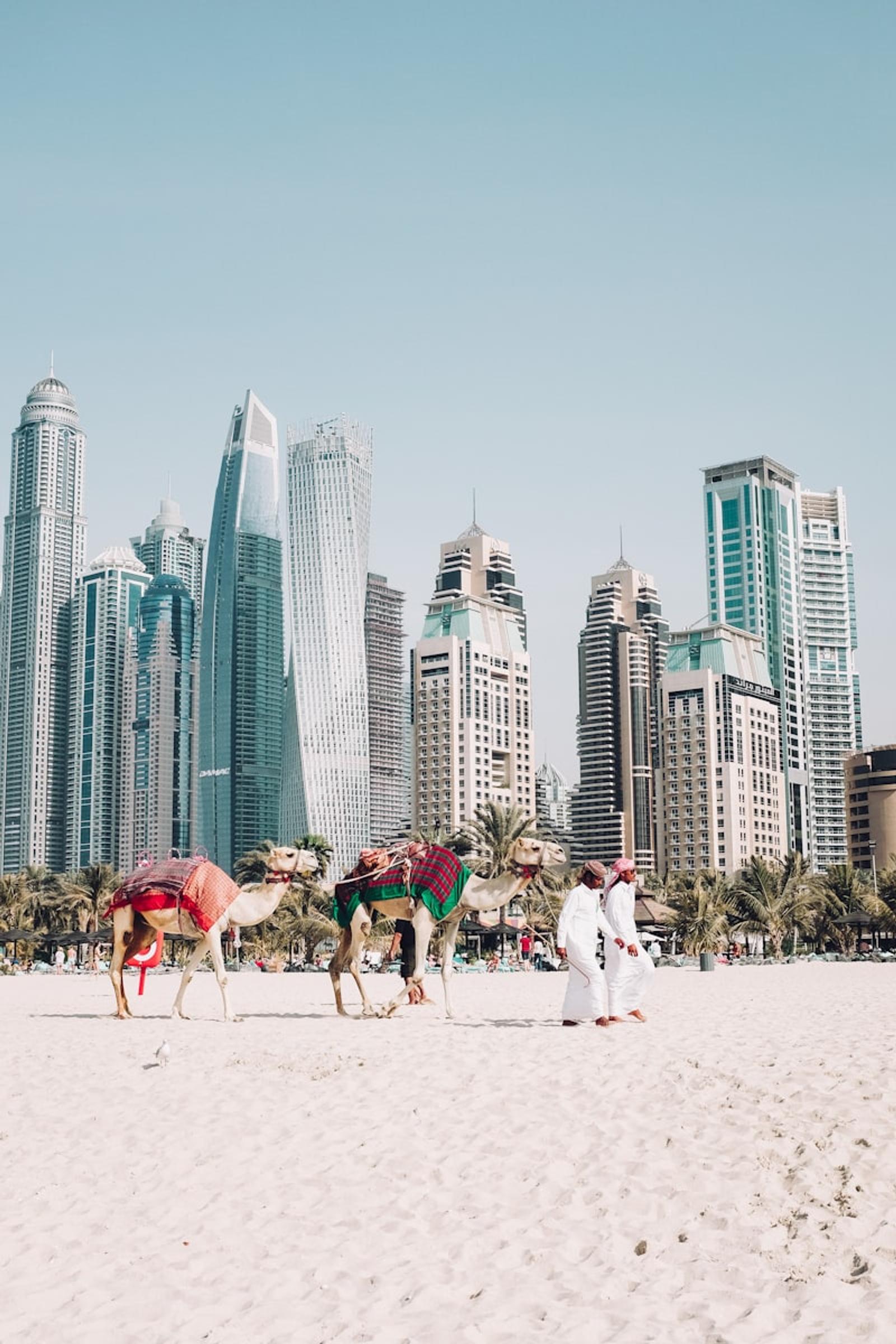 Dubai desert dunes