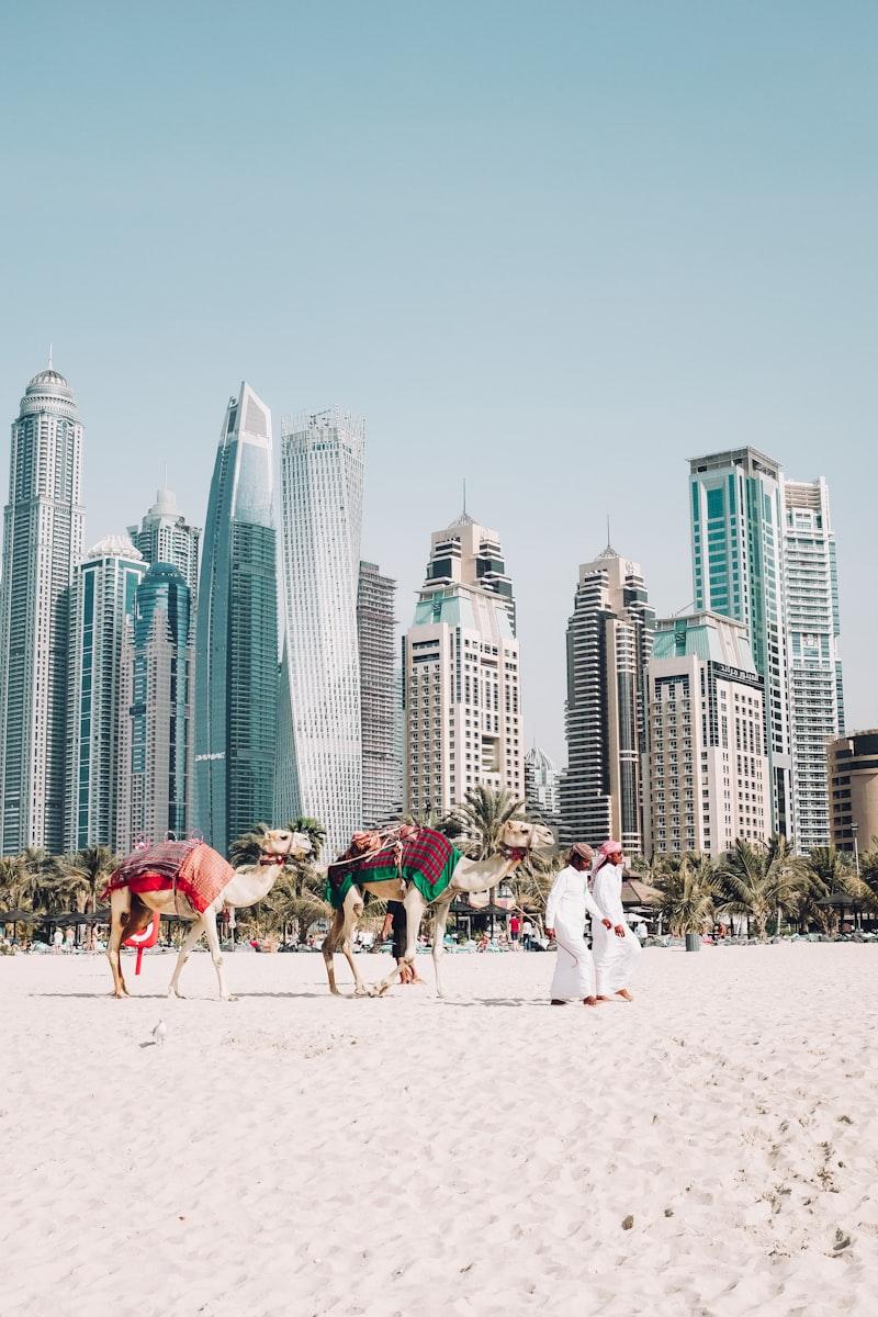 Dubai desert dunes