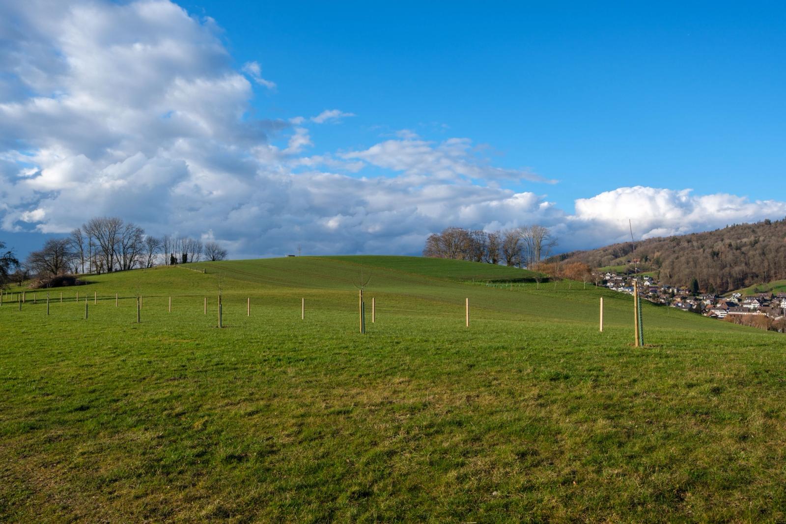A serene landscape of rolling hills and blue sky in Niederweningen, Zürich, Switzerland