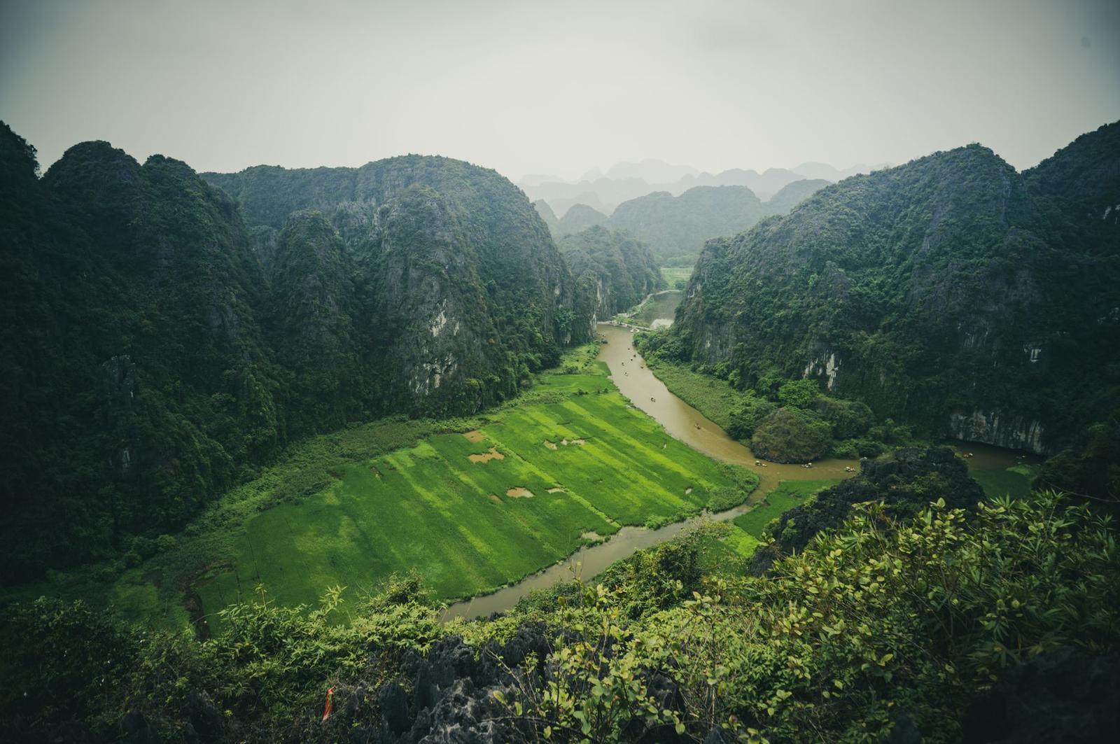 A breathtaking aerial view of lush green fields and winding rivers in Tam Coc, Ninh Bình, Vietnam