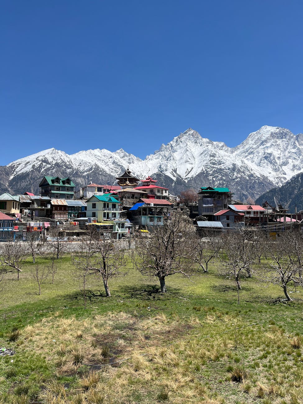 Kalpa Shimla — Himachal Pradesh, India
