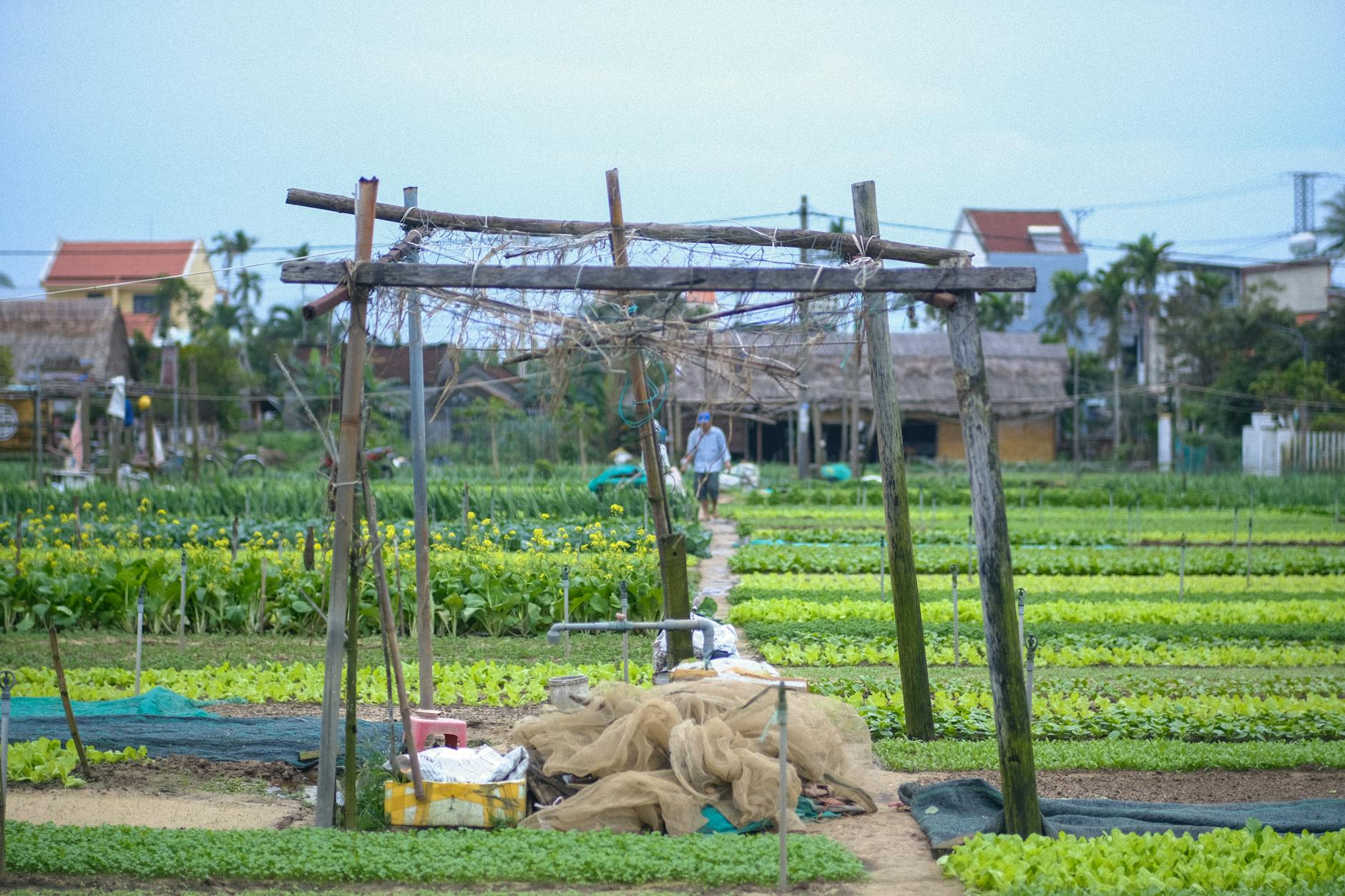 Nang on day 4, Vietnam