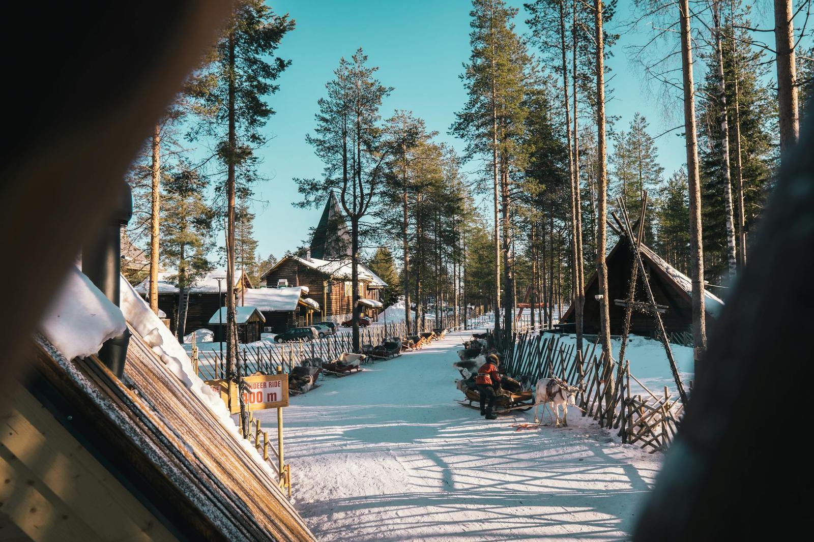 Reindeer Experience on day 2, Finland