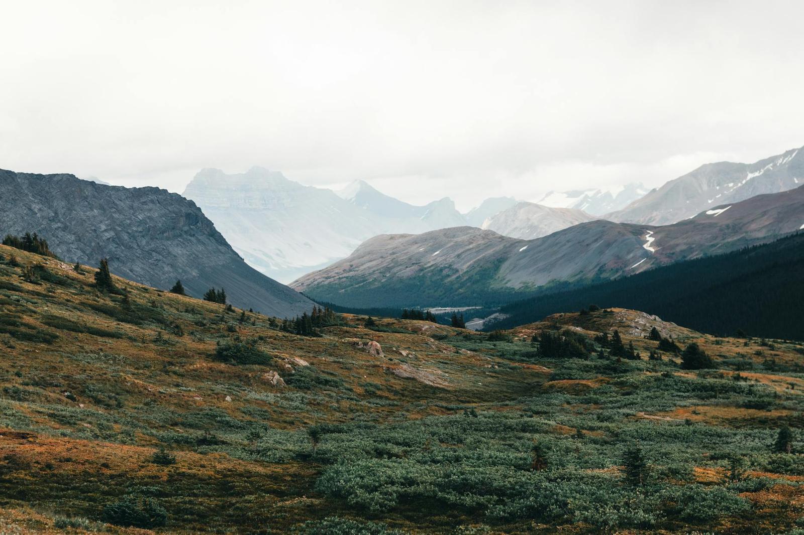 Onto — Jasper, Canada